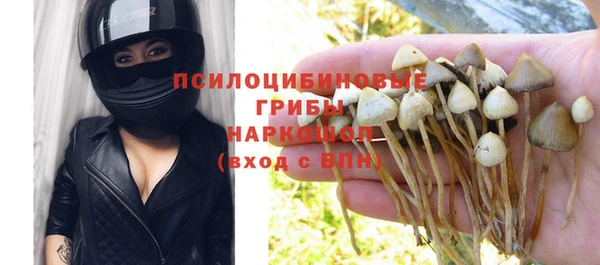ешки Касимов