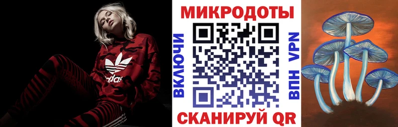 Галлюциногенные грибы Psilocybe  Купить где  Колпашево 